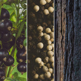CUVÉE CANDLES Detailaufnahme Cassis, Pfeffer und Zedernholz